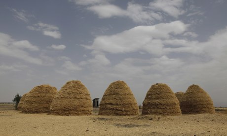 Move over quinoa, Ethiopia’s teff poised to be next big super grain