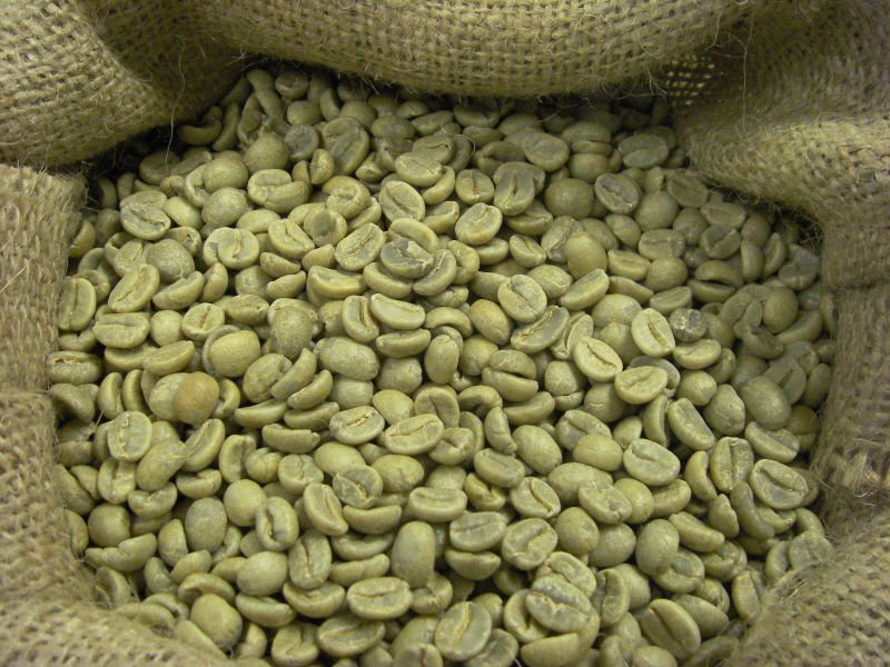 Coffee Expo Seoul selects Ethiopia as Official Guest Country