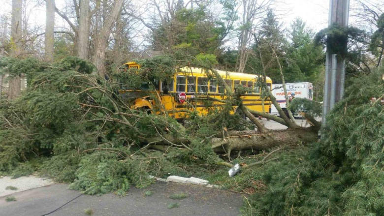 Strong Wind in GTA kills Two, Halts Flights ከባድ ንፋስ ሁለት ሰው ሲገድል ጉዳትም ኣድርሷል