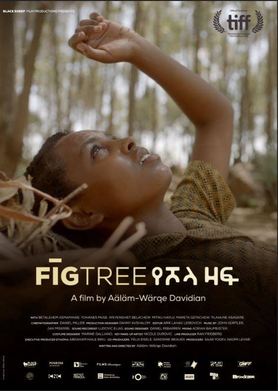 ፊግ ትሪ ( የሾላ ዛፍ  ) ፊልም በ ቶሮንቶ ይታያል:: Fig Tree movie to be Screened at TIFF.