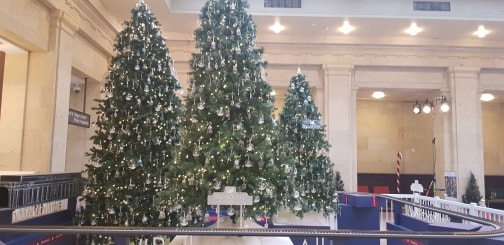 ካናዳ የ ገና ዛፍ እጥረት ኣጋጠማት :: በ ኣስቸኳይ ይግዙ. shortage of  Christmas Tree in  Toronto and beyond.
