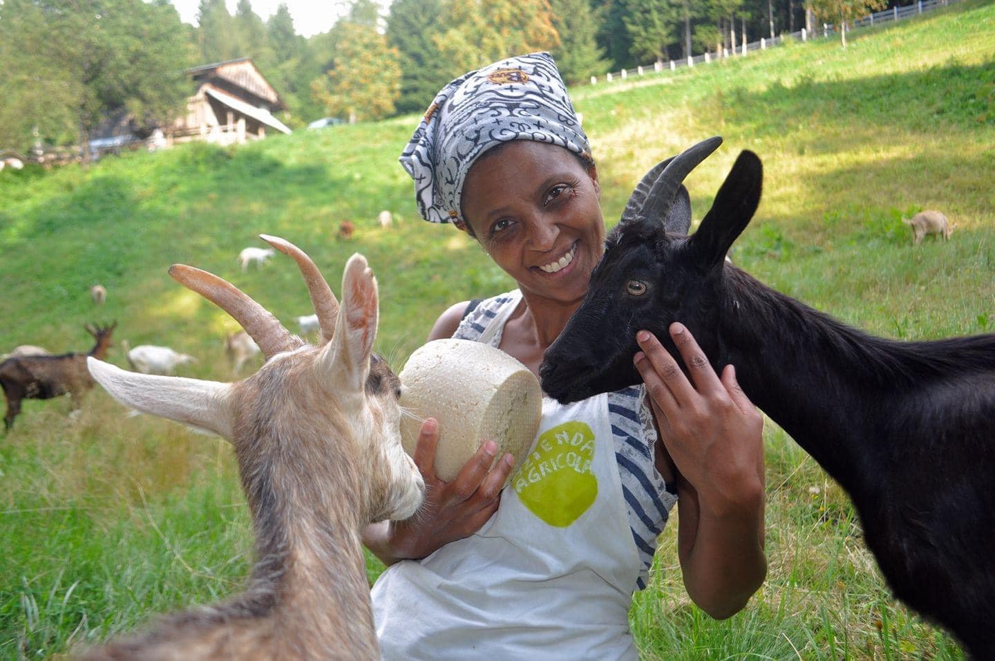 Ethiopian Entrepreneur Agitu Killed in Italy. Her staff admitted to the murder