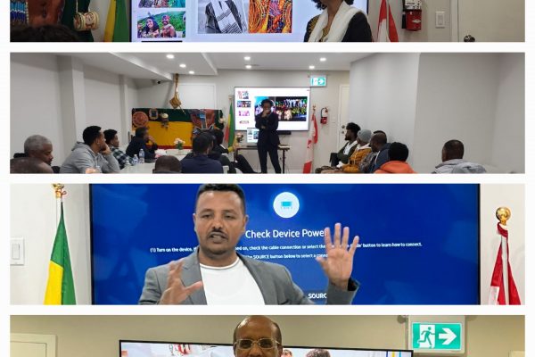 Ethiopian-Canadian  Professionals Mentoring Newcomers